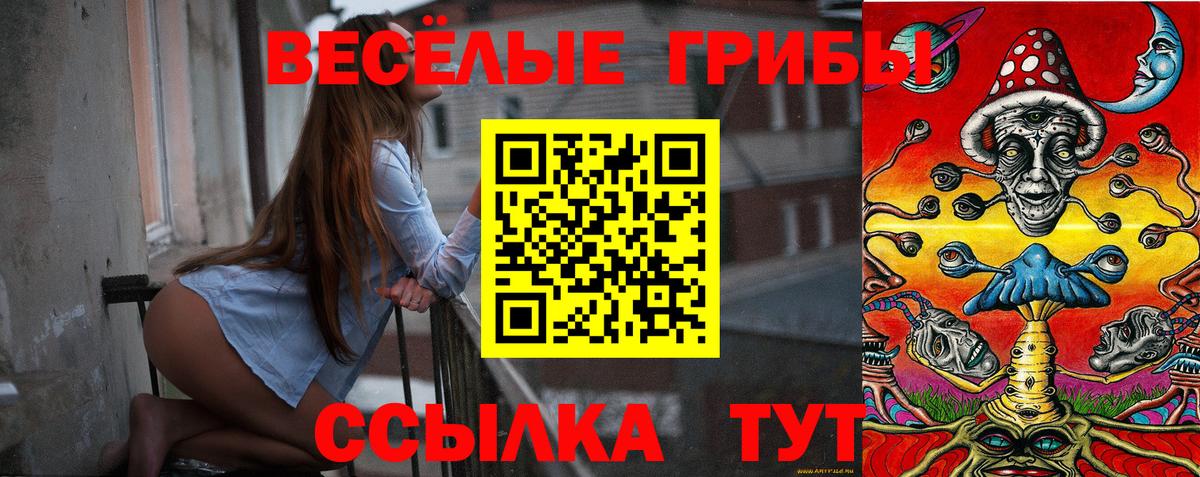 Галлюциногенные грибы Cubensis  Вход с VPN  Новочеркасск  Псилоцибиновые грибы Cubensis 