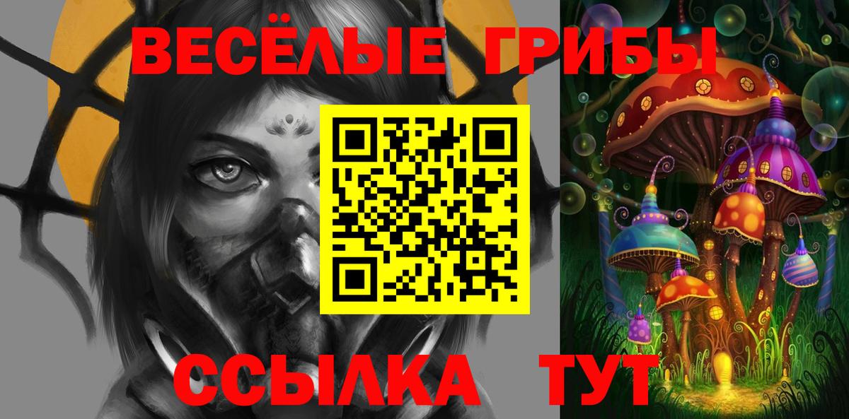 Галлюциногенные грибы Psilocybe Новочеркасск